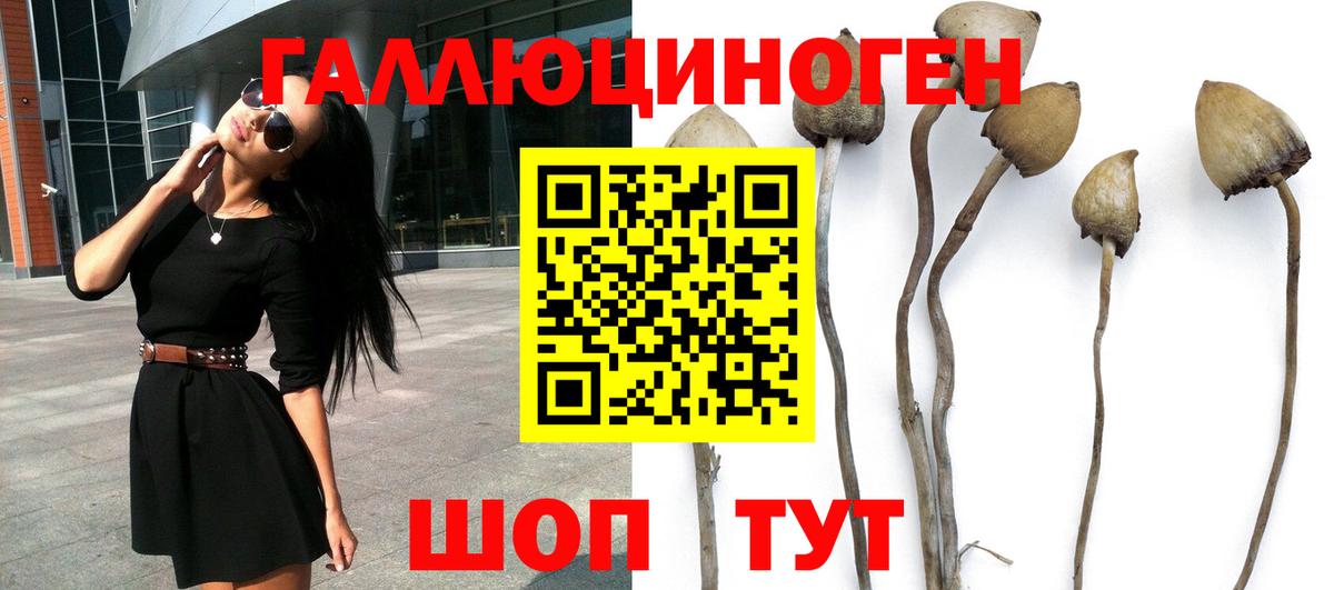 Галлюциногенные грибы Magic Shrooms Родники