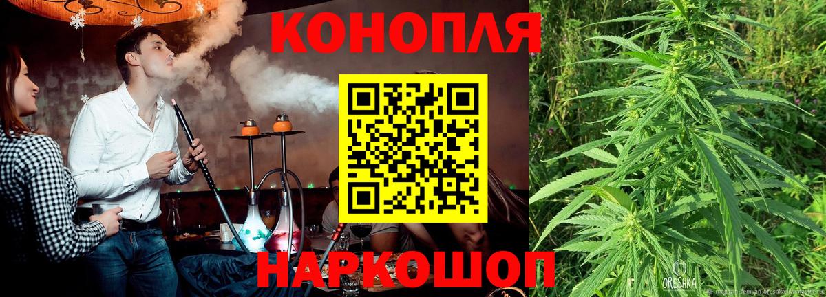 Конопля конопля  Вход с VPN  Каннабис сатива  Родники 